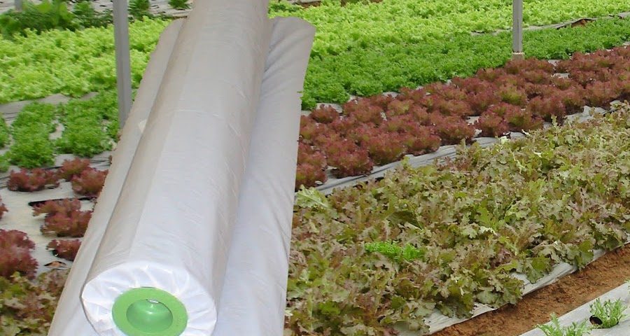 AGRICULTURE FILM