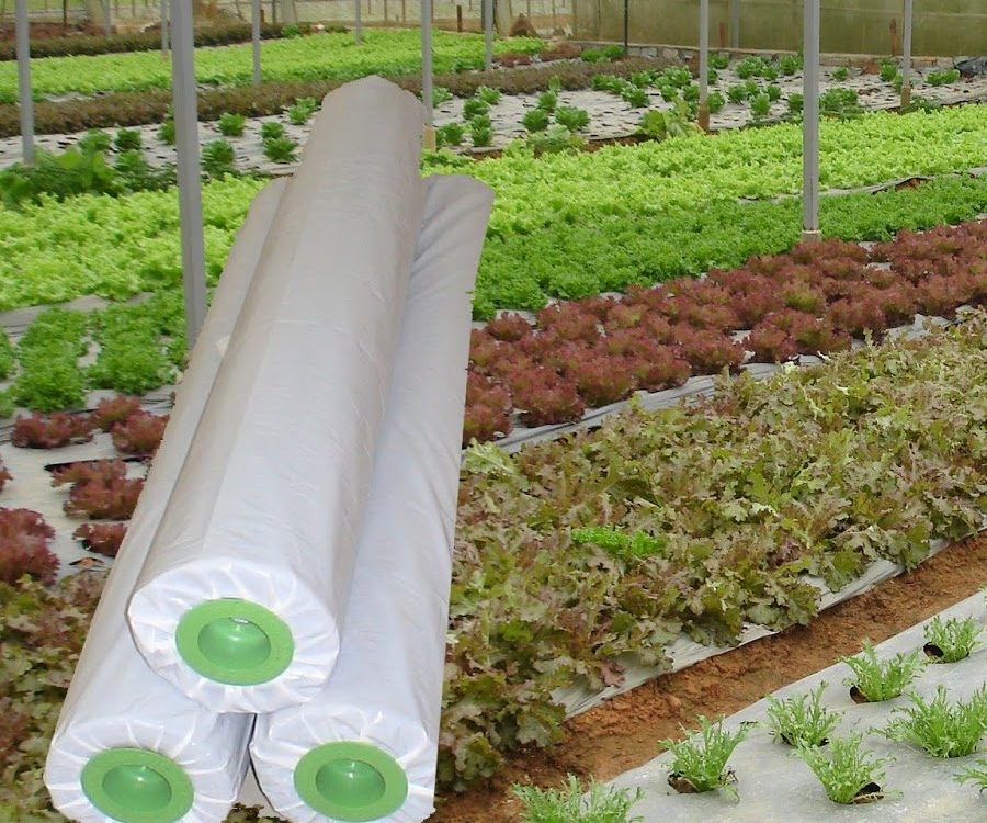 AGRICULTURE FILM