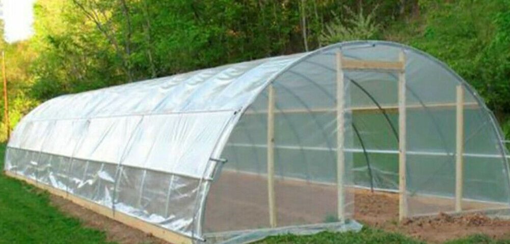 GREEN HOUSE FILM